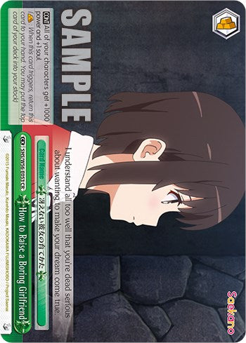How to Raise a Boring Girlfriend [Saekano: How to Raise a Boring Girlfriend]